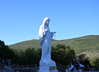 dsc_0434.jpg